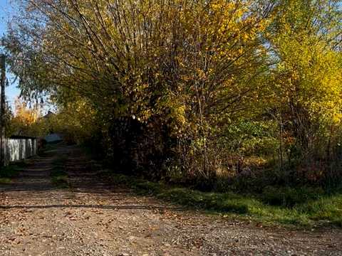 ділянка за адресою с. Великий Кучурів, 