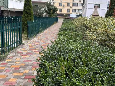 квартира по адресу Владислава Бувалкина ул. (Генерала Бочарова), 7-А / К1, К2