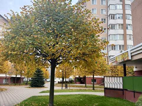 квартира по адресу Бориса Гмыри ул., 20