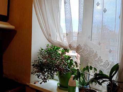 квартира по адресу Винница, Максима Шимко ул. (Карла Маркса), 4