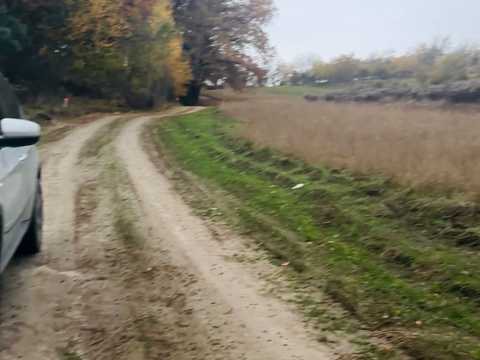 ділянка за адресою с. Бірки, 