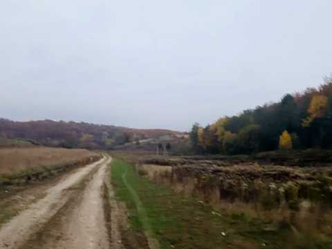 ділянка за адресою с. Бірки, 