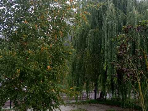 квартира по адресу Магистральная ул., (Будинок)