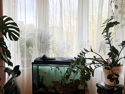 квартира за адресою Старокостянтинівське шосе, 26/2