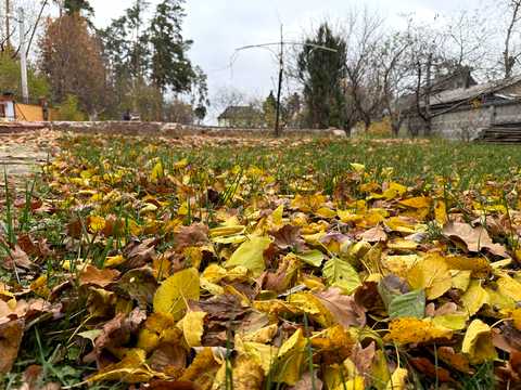 участок по адресу пгт. Ворзель, Чернишевського, 4