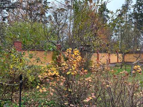 участок по адресу пгт. Ворзель, Чернишевського, 4