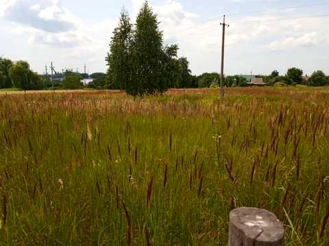 участок по адресу пгт. Бабинцы,