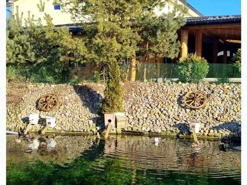 комерційна за адресою Січових Стрільців, 50Б