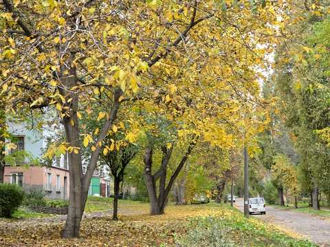 квартира за адресою Івана Сірка вул. (Ватутіна), 14