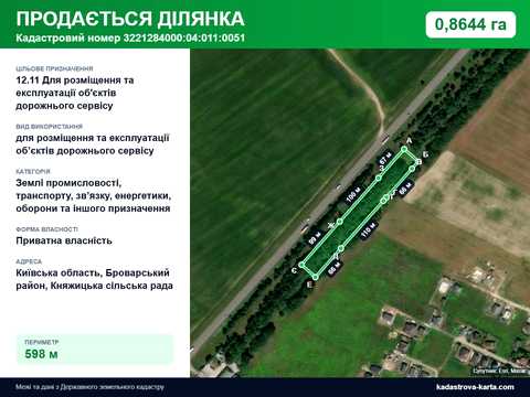 участок по адресу с. Княжичи,