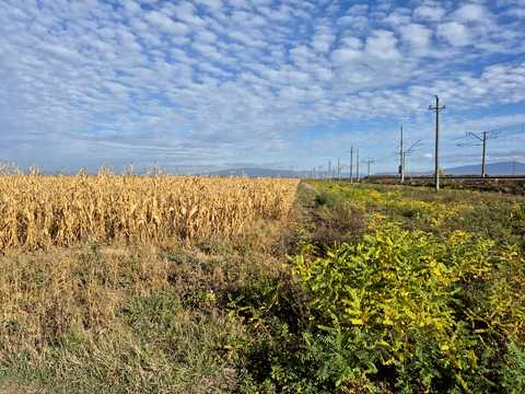 ділянка за адресою с. Холмок,