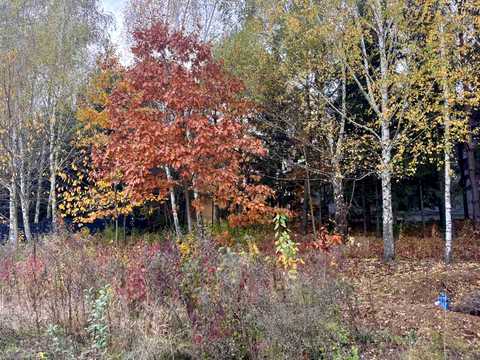 ділянка за адресою провулок Софієвський
