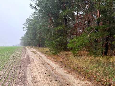 участок по адресу с. Михайловка-Рубежовка, 
