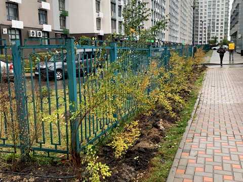 квартира по адресу Тираспольская ул., 54