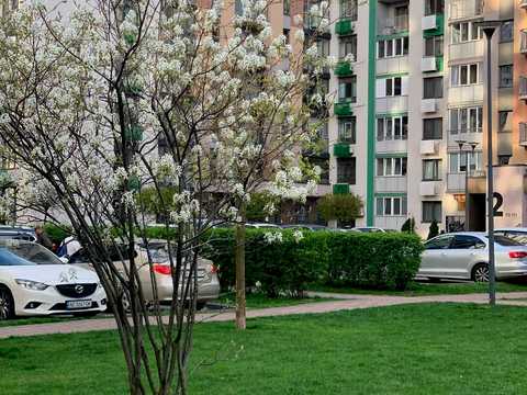 квартира по адресу Тираспольская ул., 54