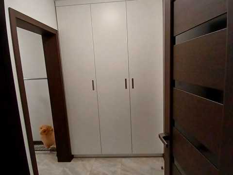 квартира по адресу Тираспольская ул., 54