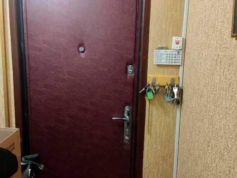 квартира по адресу Юбилейный просп. (50-летия ВЛКСМ), 86