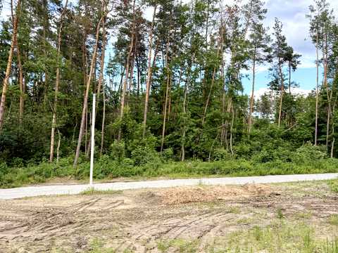 ділянка за адресою с. Ходосівка, 
