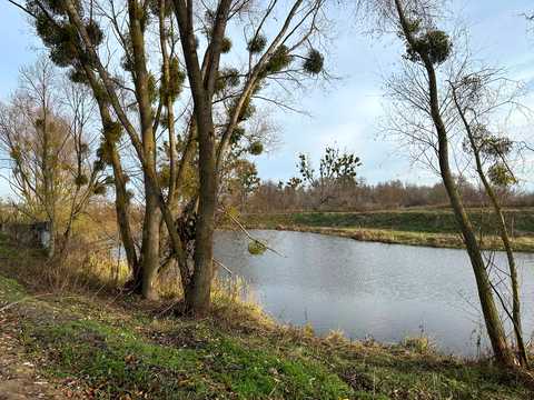 ділянка за адресою Буча, р-н Ястремщина