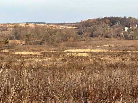 ділянка за адресою Буча, р-н Ястремщина