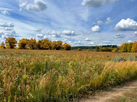 ділянка за адресою Буча, р-н Ястремщина