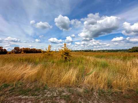 ділянка за адресою Буча, р-н Ястремщина