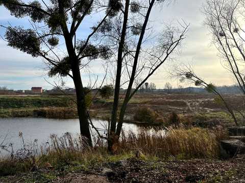ділянка за адресою Буча, р-н Ястремщини