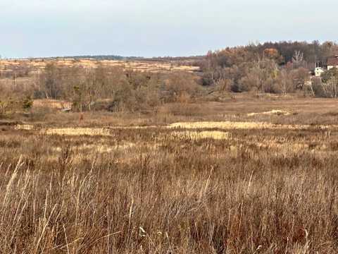 ділянка за адресою Буча, р-н Ястремщини