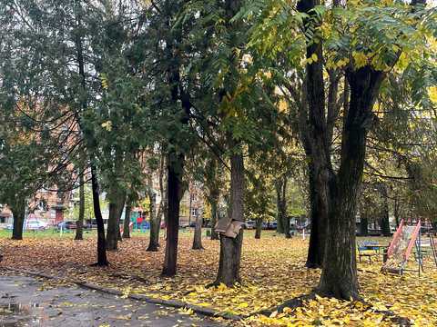 кімната за адресою Хмельницький, Романа Шухевича вул. (Курчатова), 15