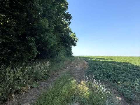 ділянка за адресою с. Чижиків, 