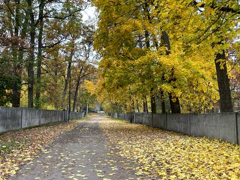 комерційна за адресою Лісова вул., 36