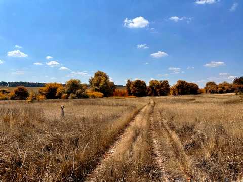 ділянка за адресою Довженка