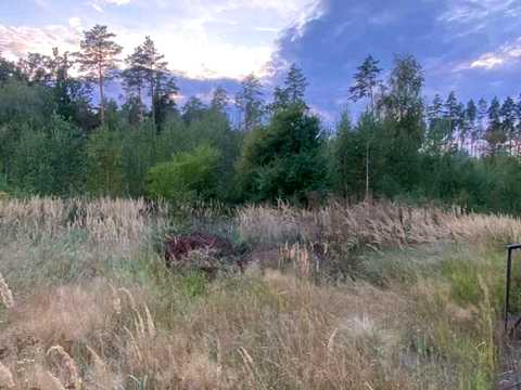 ділянка за адресою смт. Клавдієво-Тарасове, Соборності, 47