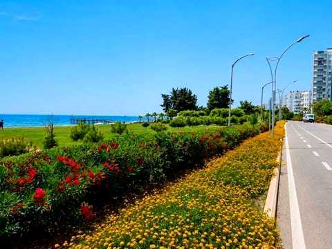 квартира за адресою Київ, Автопаркова вул., 11