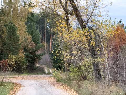 комерційна за адресою Кудрявцева, 1