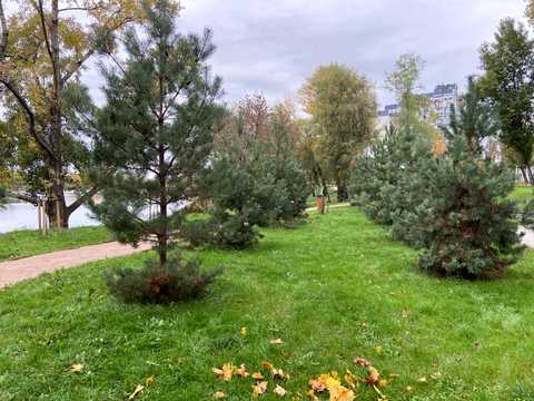 квартира по адресу Иорданская ул. (Лайоша Гавро), 5-А