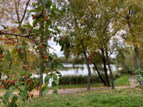 квартира по адресу Иорданская ул. (Лайоша Гавро), 5-А
