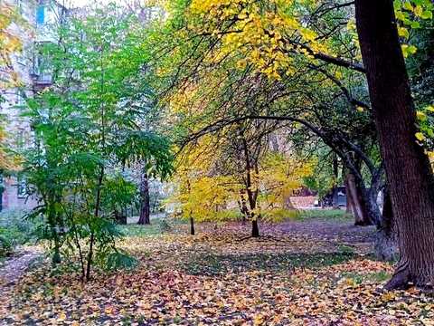 квартира по адресу Деревлянская ул. (Якира), 16/18 к2