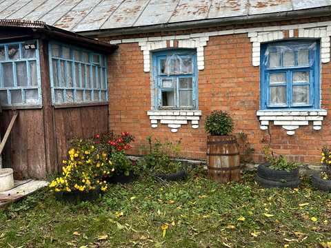 будинок за адресою с. Садове, Революційна