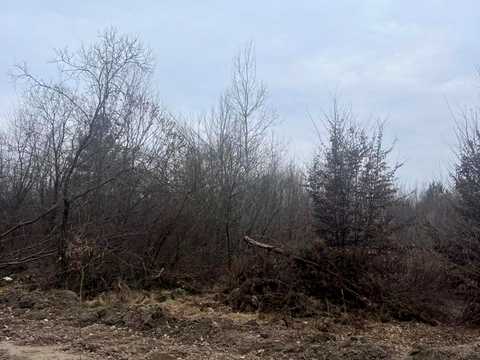 ділянка за адресою с. Любовичі,