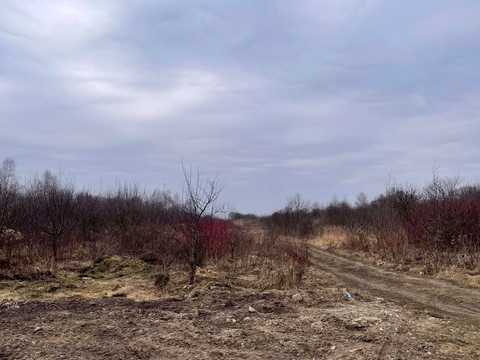 ділянка за адресою с. Любовичі,