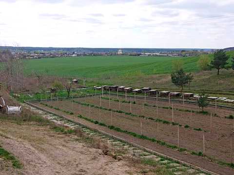 будинок за адресою Лісна