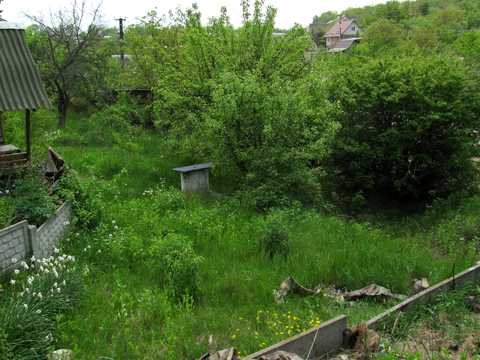 будинок за адресою с-ще. Березина, Квітуча