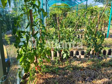 будинок за адресою с. Маринівка, Грушева