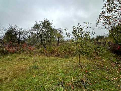 будинок за адресою с. Селище, Шевченка, 65