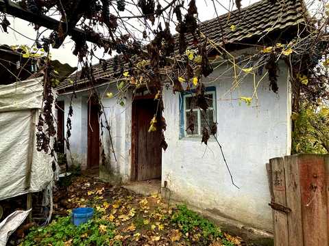 будинок за адресою с. Селище, Шевченка, 65