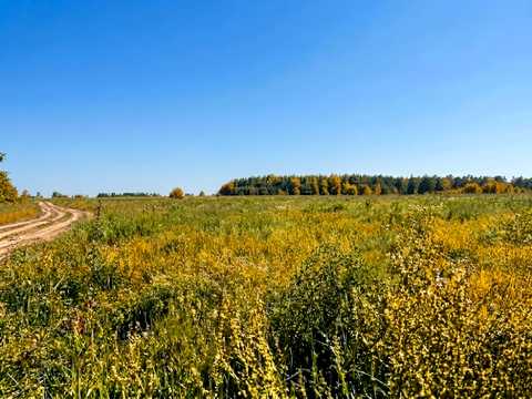 участок по адресу пгт. Гостомель,
