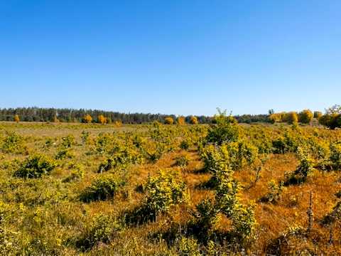 участок по адресу пгт. Гостомель,