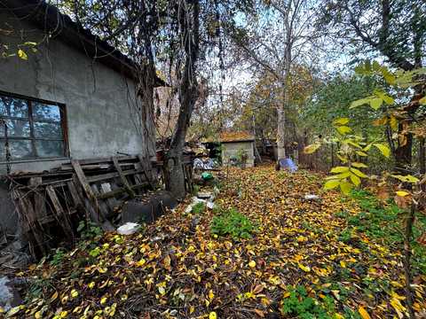 участок по адресу Андрія Норова ул. (Пржевальського), 6а