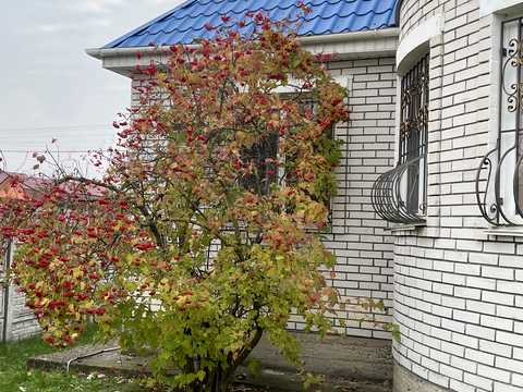 дом по адресу с. Марьяновка, мар'янівська, 64А